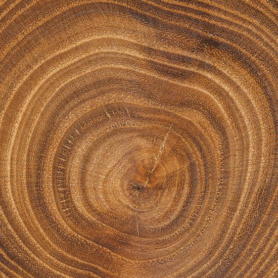legno-2